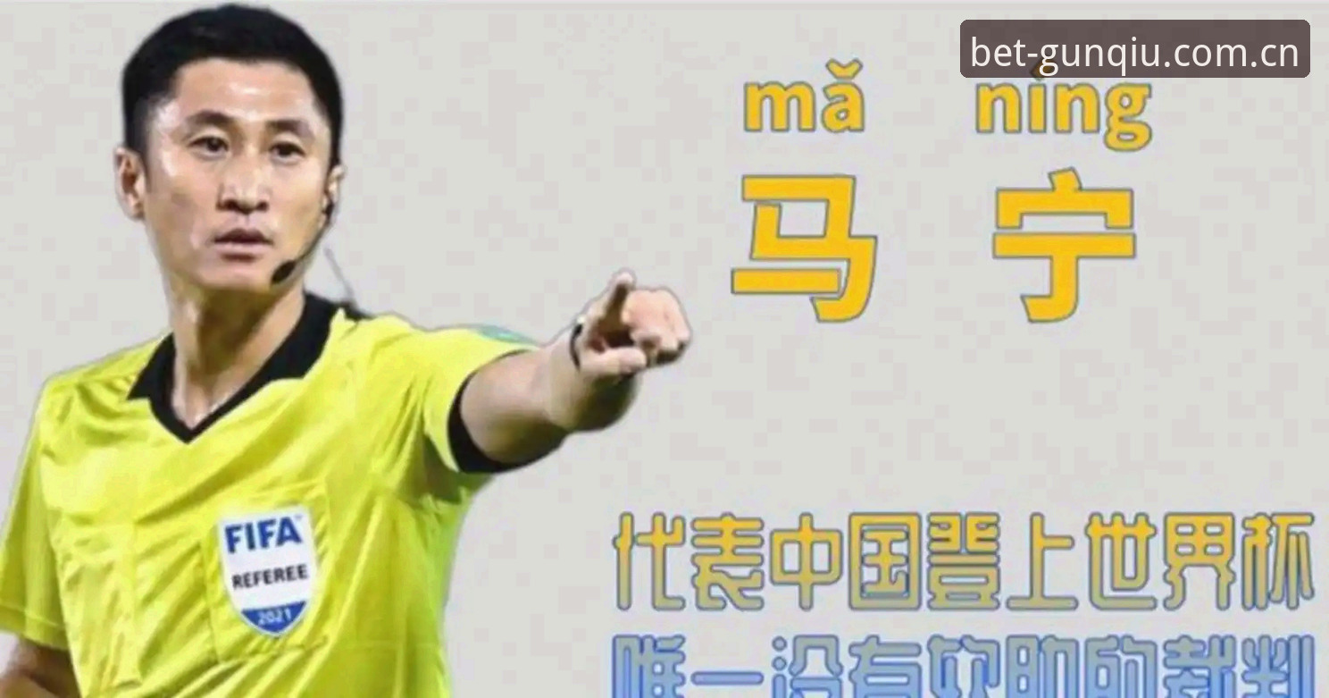 马宁世界杯执裁背后的职业逻辑——一个裁判的决策闭环